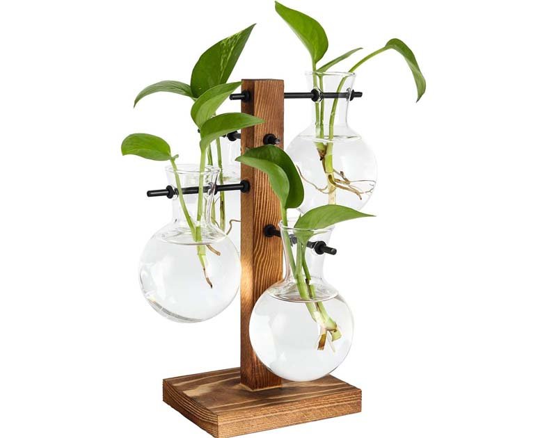 PAG Planter Terrariums Kit