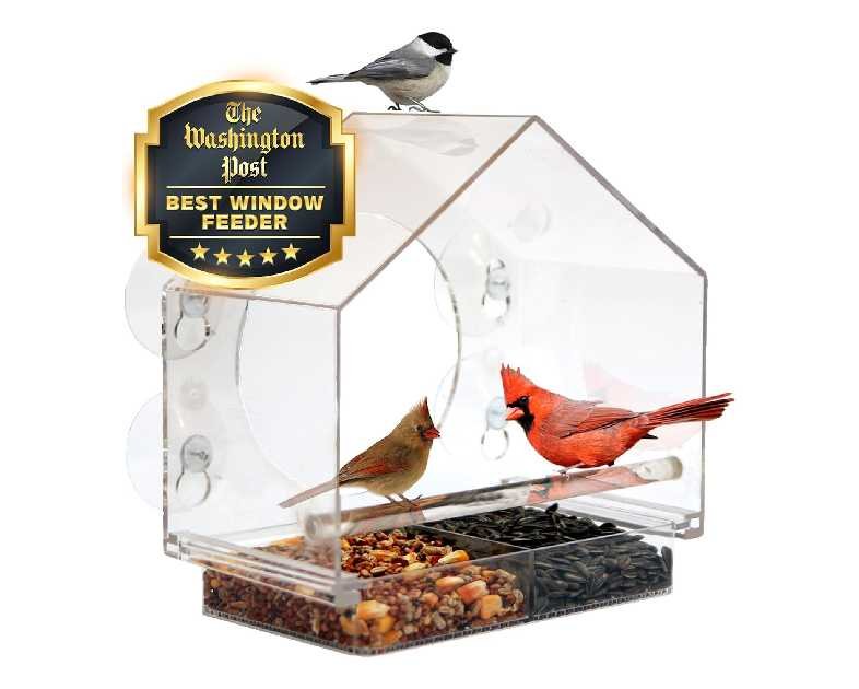 Nature Anywhere Window Bird Feeder - Transparent Acrylic Bird Feeders for Outdoors - Enhanced Suction Grip, Bird Watching for Cats, Easy-to-Clean, Outdoor Birdhouse Feeder (1 Unit)