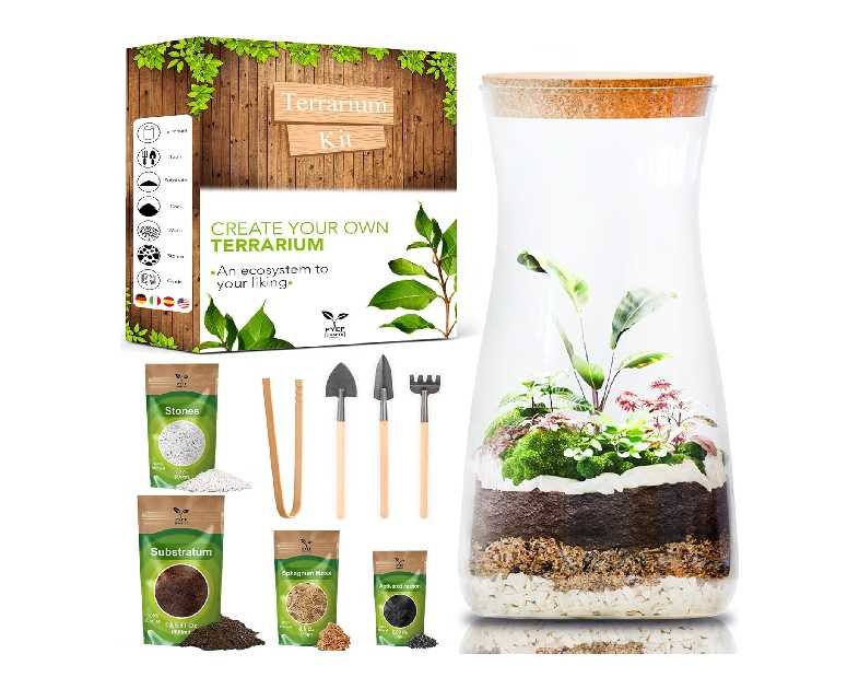 DIY Terrarium Kit for Adults – Build Your Own Self‑Sustaining Closed Ecosystem – 34 fl oz (1‑Liter) Glass Terrarium – Succulents, Air Plants, Fittonia, Fern – Plants Not Included