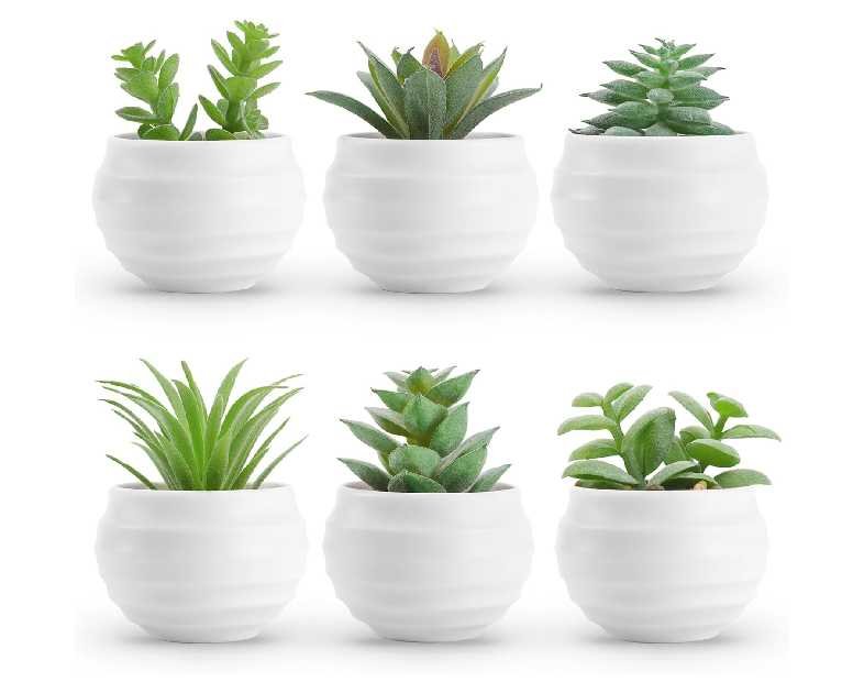 Der Rose Set of 6 Succulents Plants Artificial in Pots Small Fake Plants for Bedroom Aesthetic Living Room Shelf Bathroom Decor Office Desk Accessories