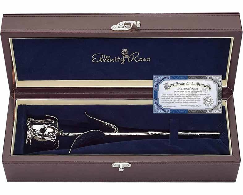 The Eternity Rose Platinum Dipped Rose