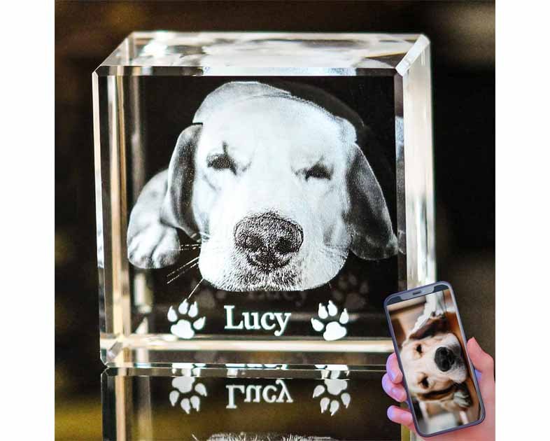 3D Crystal Photo,Pet Memorial Gifts
