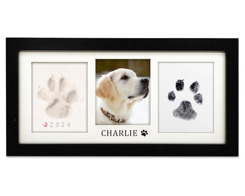 MYPAWLETS Paw Print Frame Kit