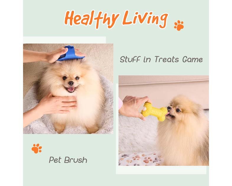 FLAIR GIFTS Welcome New Puppy Starter Kit, 14Pcs Dog Toy Gift Basket for Small Puppies