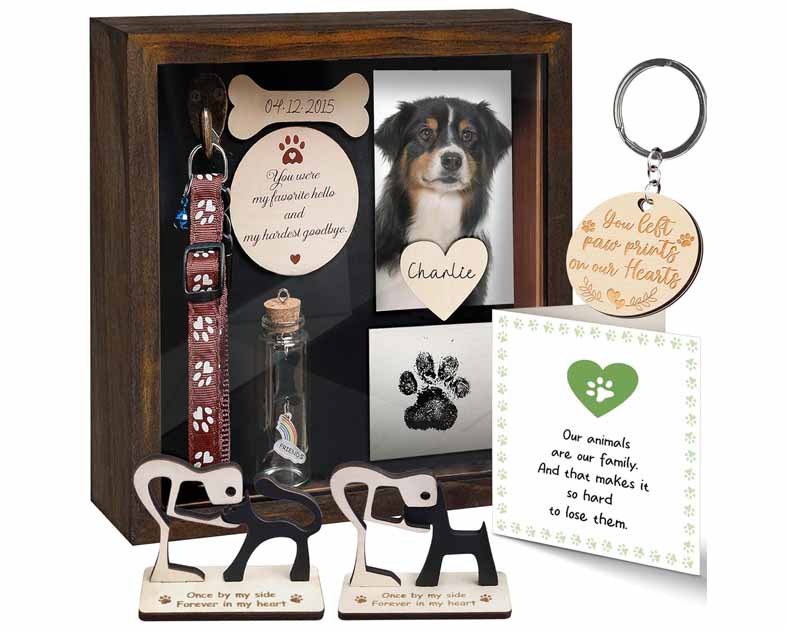 Pet Memorial Shadow Box