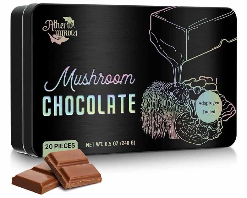 Functional Mushroom Chocolate