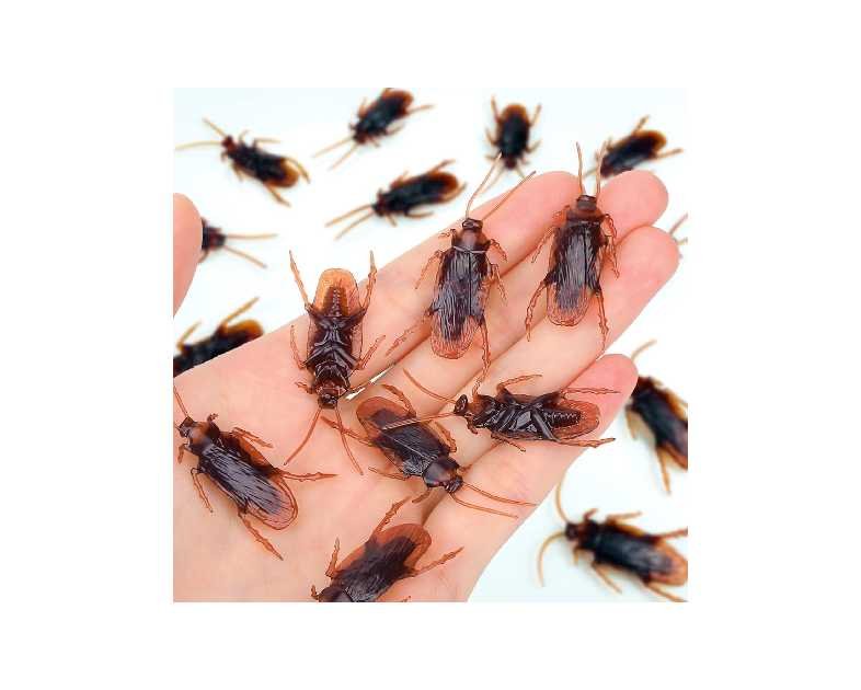 Premium Fake Cockroaches, Pretty Realistic Fake Roaches, Great Way to Play a Prank, Faux Cockroaches Lifelike Creepy Perfect for Halloween Project, Tricking People, Kid Playing (15PCS)