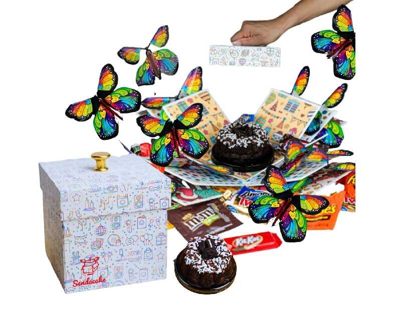 Send a Cake Explosion Box Gift with Flying Butterfly Surprise & Candy - Birthday, Holiday, Special Occasion – Birthday Treat for Women, Men, Adults, Kids