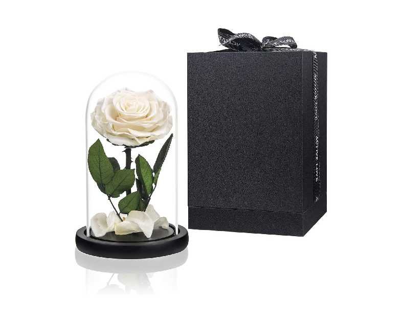Preserved Flowers White Roses in Glass Dome, Preserved Rose Never Withered Flower Gifts for Her, Mother's Day, Birthday Gifts for Women