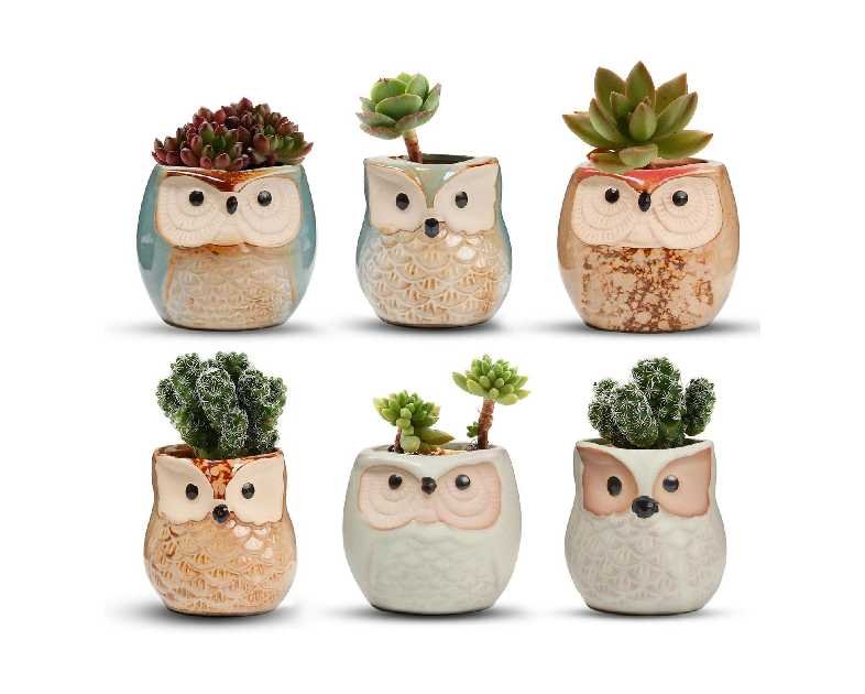 T4U 2.5 Inch Owl Ceramic Succulent Planter Pots with Drainage Hole Set of 6, Mini Cute Flower Pots Tiny Plant Holder Container Best for Home Office Garden Decoration Owl Gift Ideas