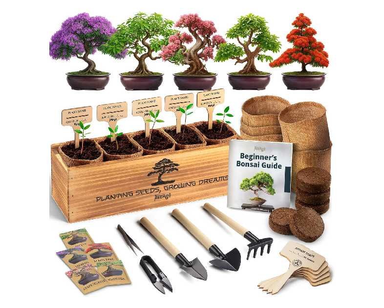 AVERGO Bonsai Tree Kit for Beginners – 5X Unique Japanese Bonzai Trees | Complete Indoor Starter Kit for Growing Bonsai Plants with Tools & Planters – Gardening Gifts for Women & Men