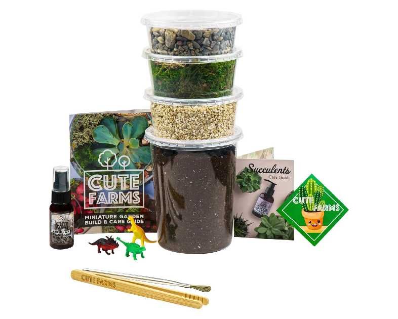 Cute Farms Terrarium Starter Kit | Moss, Vermiculite, Soil, Pebbles, Plant Food, Finishing Tools, Build and Care Guide | DIY Succulent Terrarium for Adults and Kids (Large)