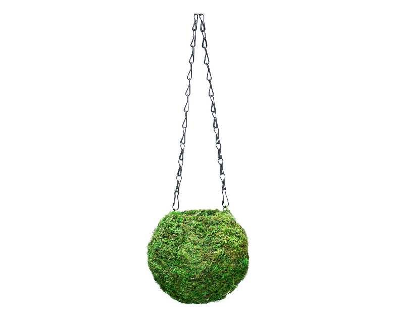 SuperMoss (29348) Kokedama Planter, 6", Fresh Green