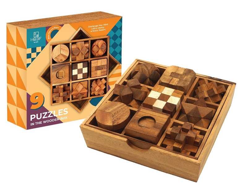 BSIRI 9 in 1 Wooden Brain Teaser Puzzles for Adults Teens and Kids Box Set for All Ages Wood Hard Level 10 Impossible Mind Wood Brain Teaser Games 3D Hand Puzzle Sets for Decoration and Mini Toys