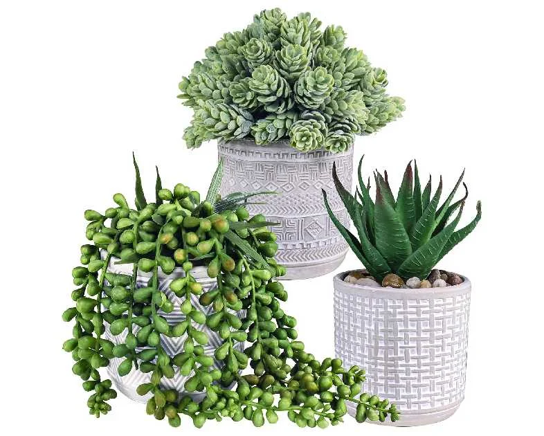 Set of 3 Assorted Small Potted Succulent Plants Fake Aloe String of Pearls Hops Succulents in Gray Geometric Concrete Ceramic Pots for Gifts Modern Home Office Desk Table Indoor Outdoor Greenery Decor