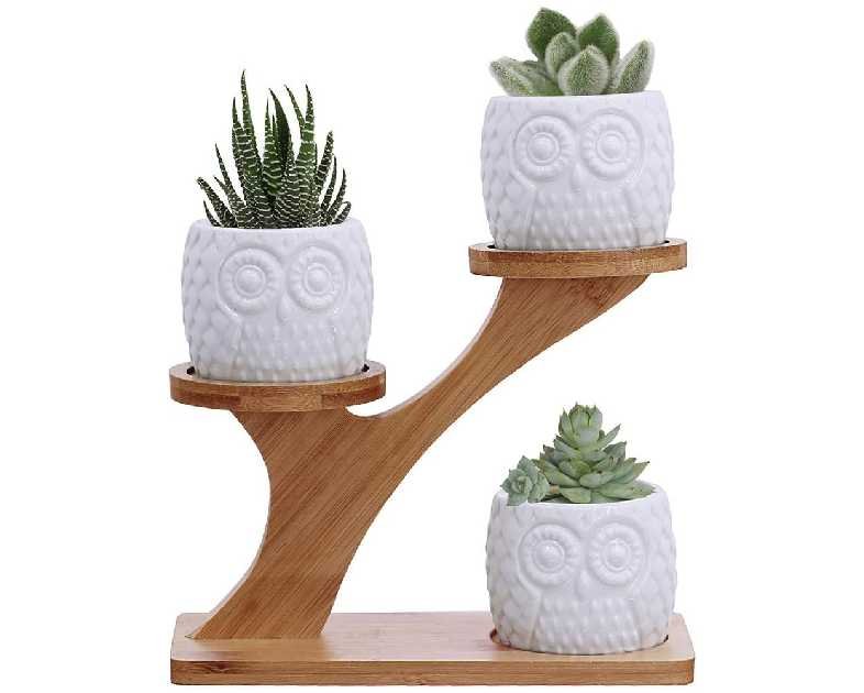 3pcs Owl Succulent Pots with 3 Tier Bamboo Saucers Stand Holder - White Modern Decorative Ceramic Flower Planter with Drainage - Home Office Desk Garden Mini Cactus Plant Pot Indoor Decoration