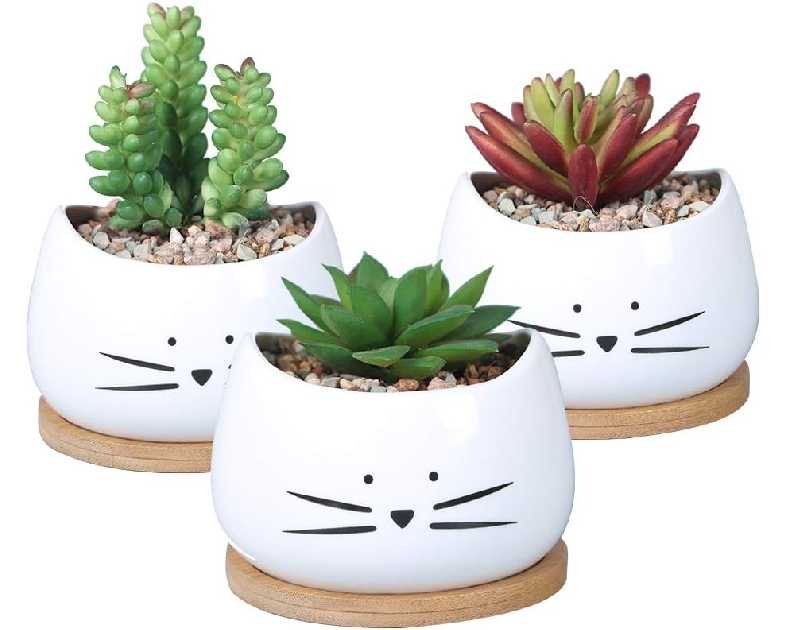 Koolkatkoo 3.2 Inch Cute Cat Ceramic Succulent Planter Pots with Removable Saucer Unique Cactus Planters Porcelain Decorative Flower Pot for Cat Lovers Set of 3 White
