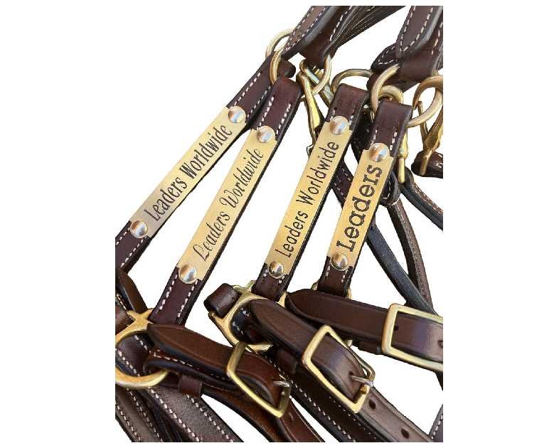 Leaders 3/4" Leather Halter for Horses with Customized Engraved Name Plate Brown Leather with Solid Brass Hardware