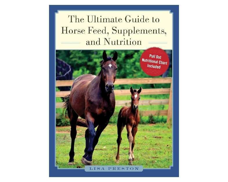 The Ultimate Guide to Horse Feed, Supplements, and Nutrition
