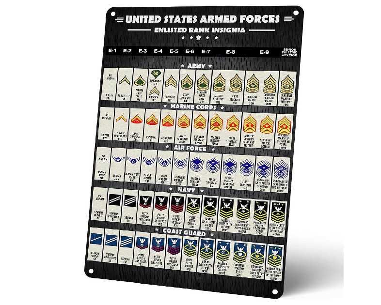 Homely Accents US Army Enlisted Rank Vintage Metal Signs, 12x16 Retro Wall Art for Veteran, Soldier, Man Cave, Home Office Decor, Military Ranks Knowledge Display