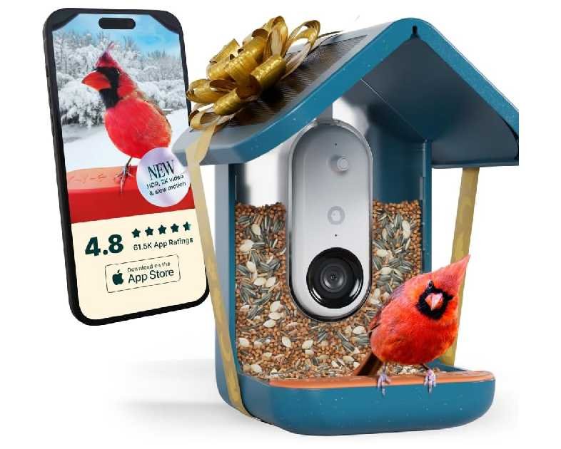 Birdbuddy PRO Solar Smart Bird Feeder with Camera - AI Bird Species Identification, 5MP Photos, 2K HD Video Live Stream Camera, Slow-Motion Video, 2.6in Focus - Blue Solar