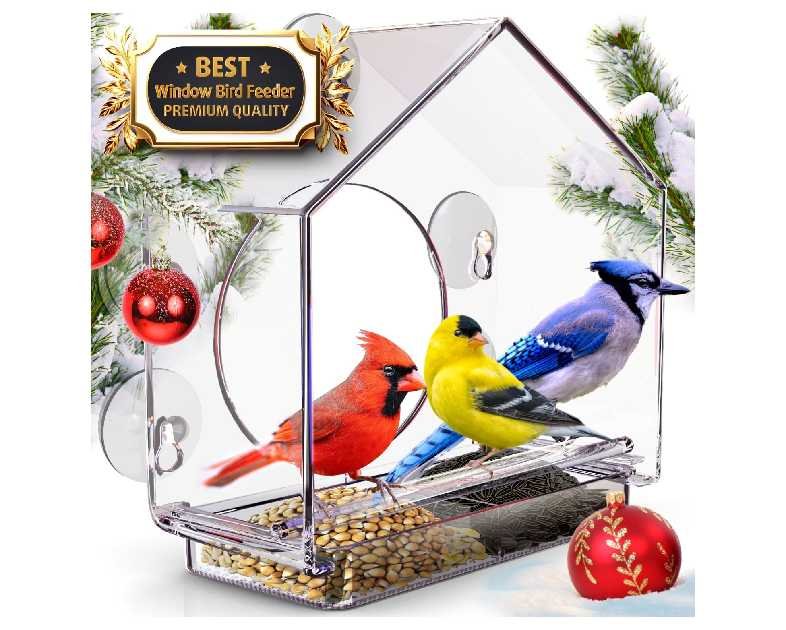 Premium Window Bird Feeder for Outside - Clear Bird House w/Largest Window for Viewing Birds - Easy to Install & Sturdy Feeder w/Extra Strong Suction Cups - Perfect for Kids, Adults and Cats