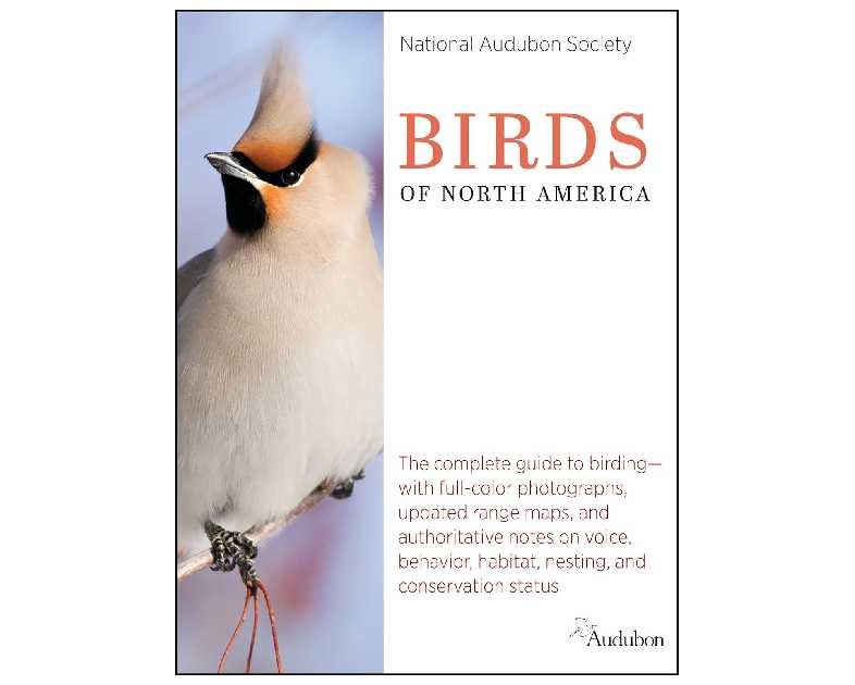 National Audubon Society Birds of North America (National Audubon Society Complete Guides)